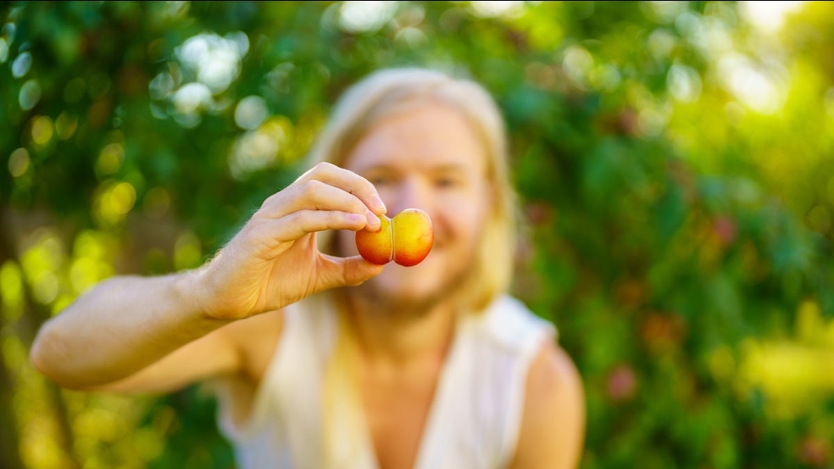 Heart-Shaped Plum, the fruit of the ending summer and the beginning autumn